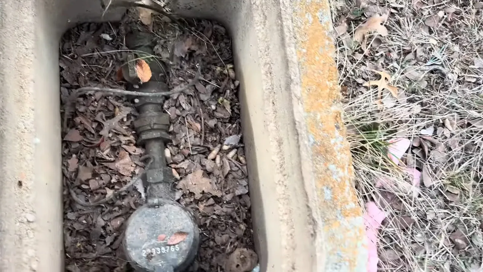 Water meter inside an open concrete ground box partly filled with dry leaves